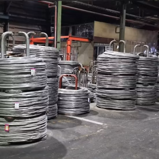 Kohlenstoffstahl 4,8 8,8 DIN603 M5-M20 Ovalhals-Schlossschraube mit Mutter und Unterlegscheibe