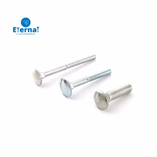 Rundkopf-Vierkantschlösserschrauben aus verzinktem und rostfreiem Stahl SUS304/316 (A2/A4).