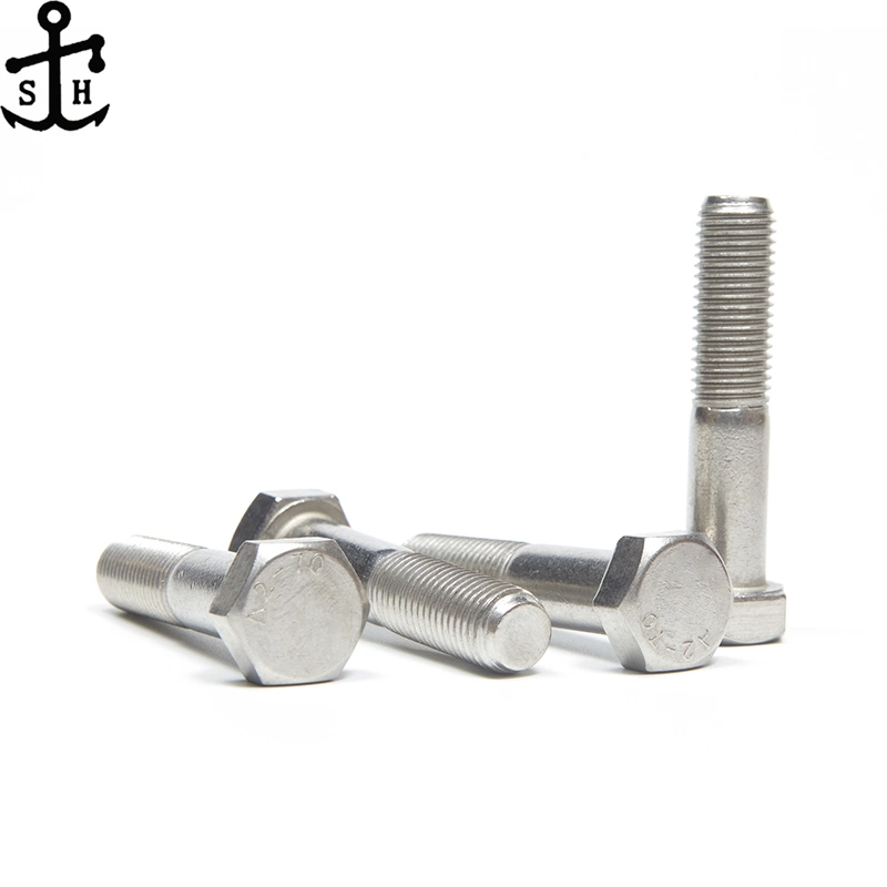 Stainless Steel Bolts/Hexagon Bolt and Nuts/Socket Bolt/Extra Long Bolt/U Bolt/Hex Flange Bolt/Allen Bolt /Carriage Bolt/Stud Bolts DIN933/DIN931/DIN6921/DIN912