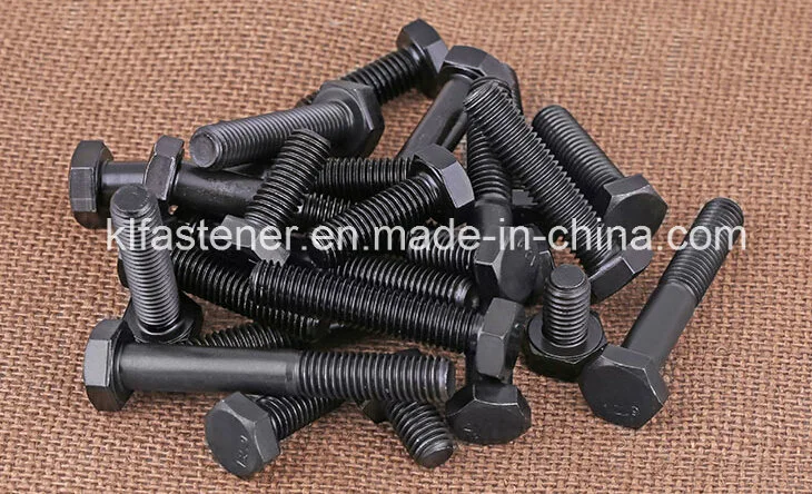 Hex Bolt /Flange Bolt/ Carriage Bolt/Anchor Bolt